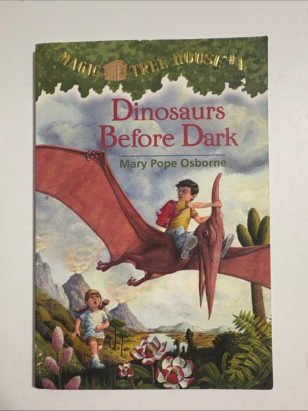 Magic Tree House: set 1-49 Paperback Books great for young readers.